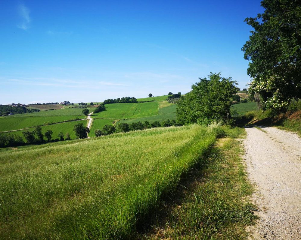 Dunarobba-Avigliano